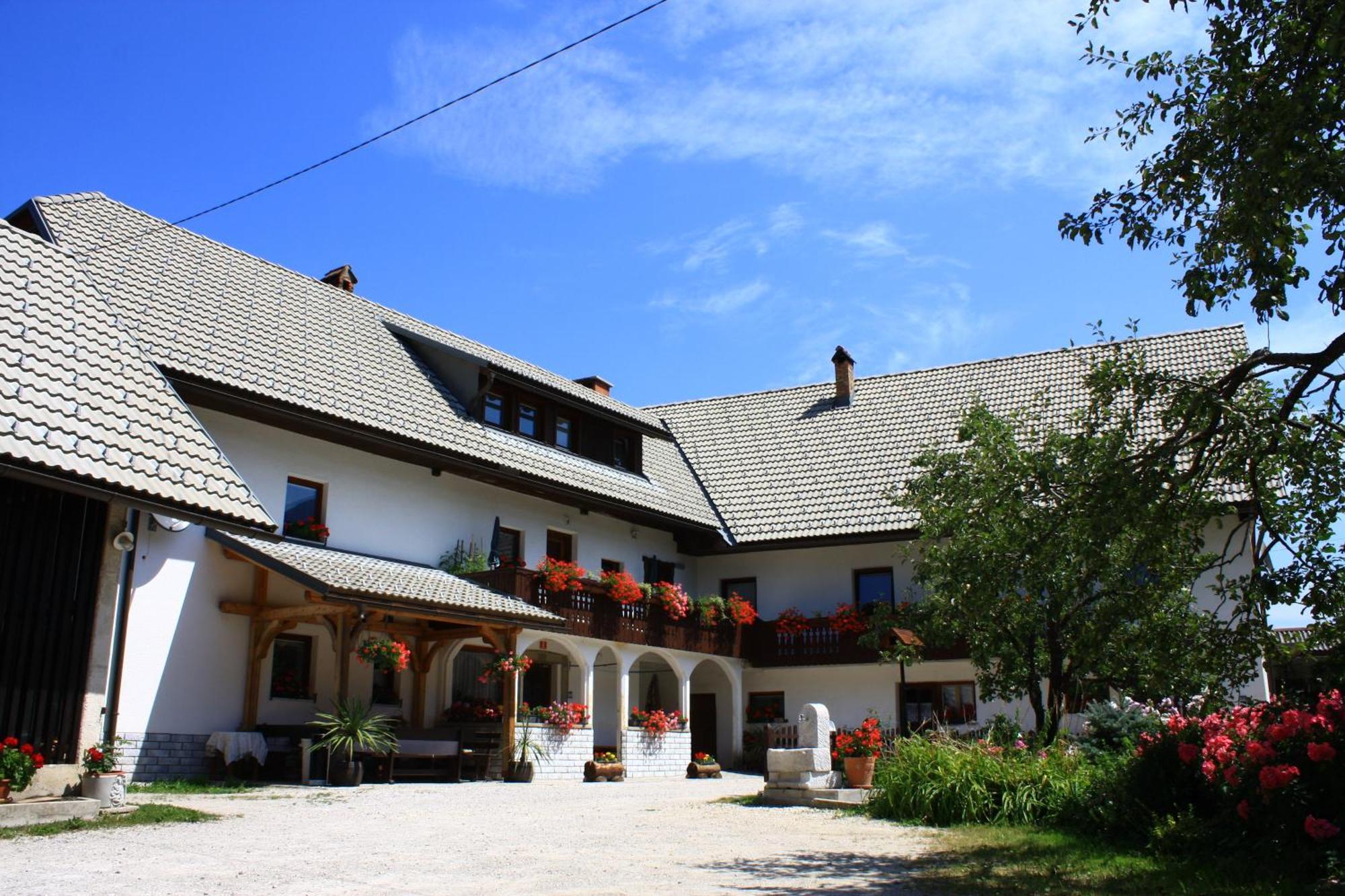 Apartments Susnik Бохинь Экстерьер фото