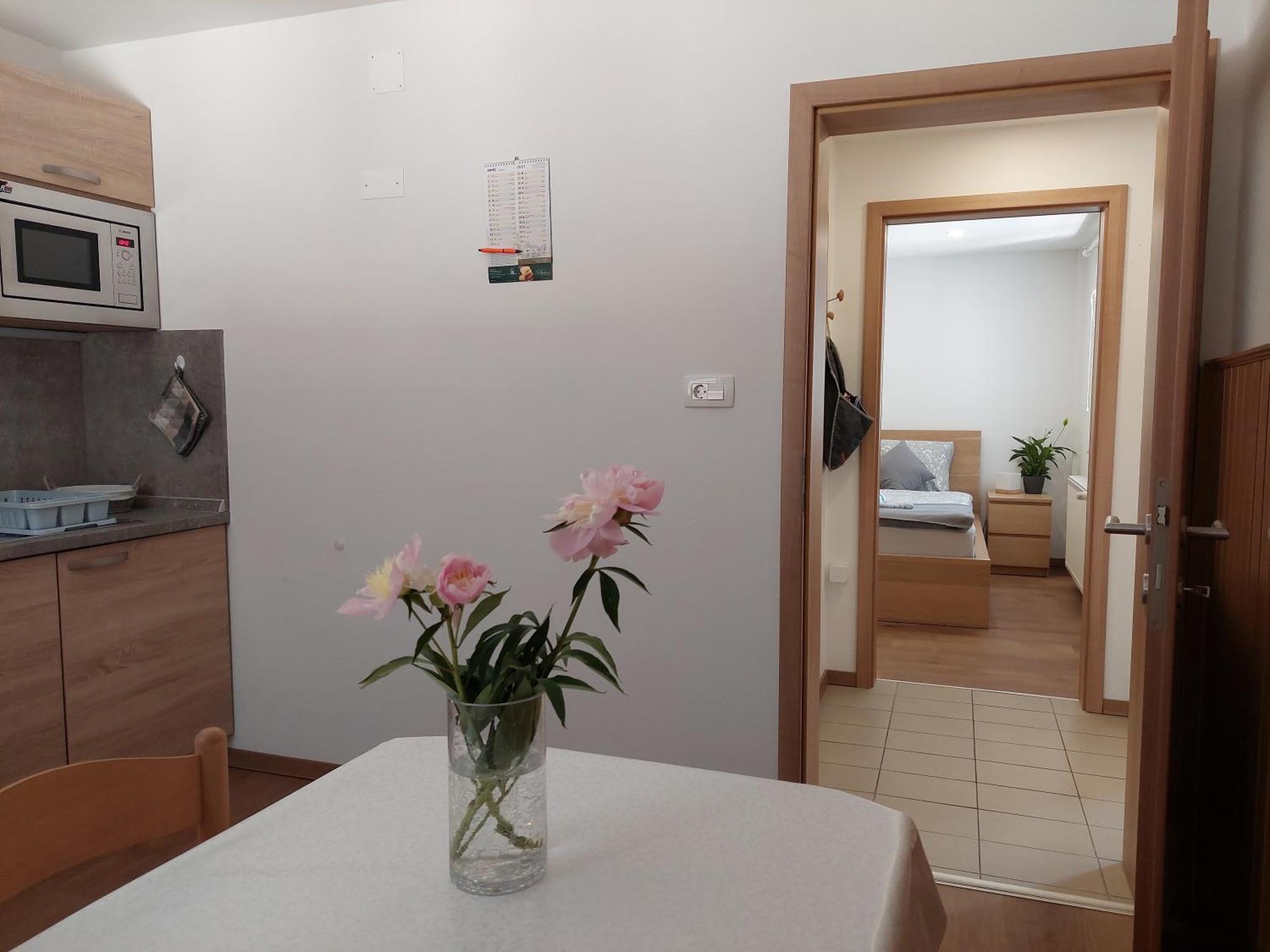 Apartments Susnik Бохинь Номер фото