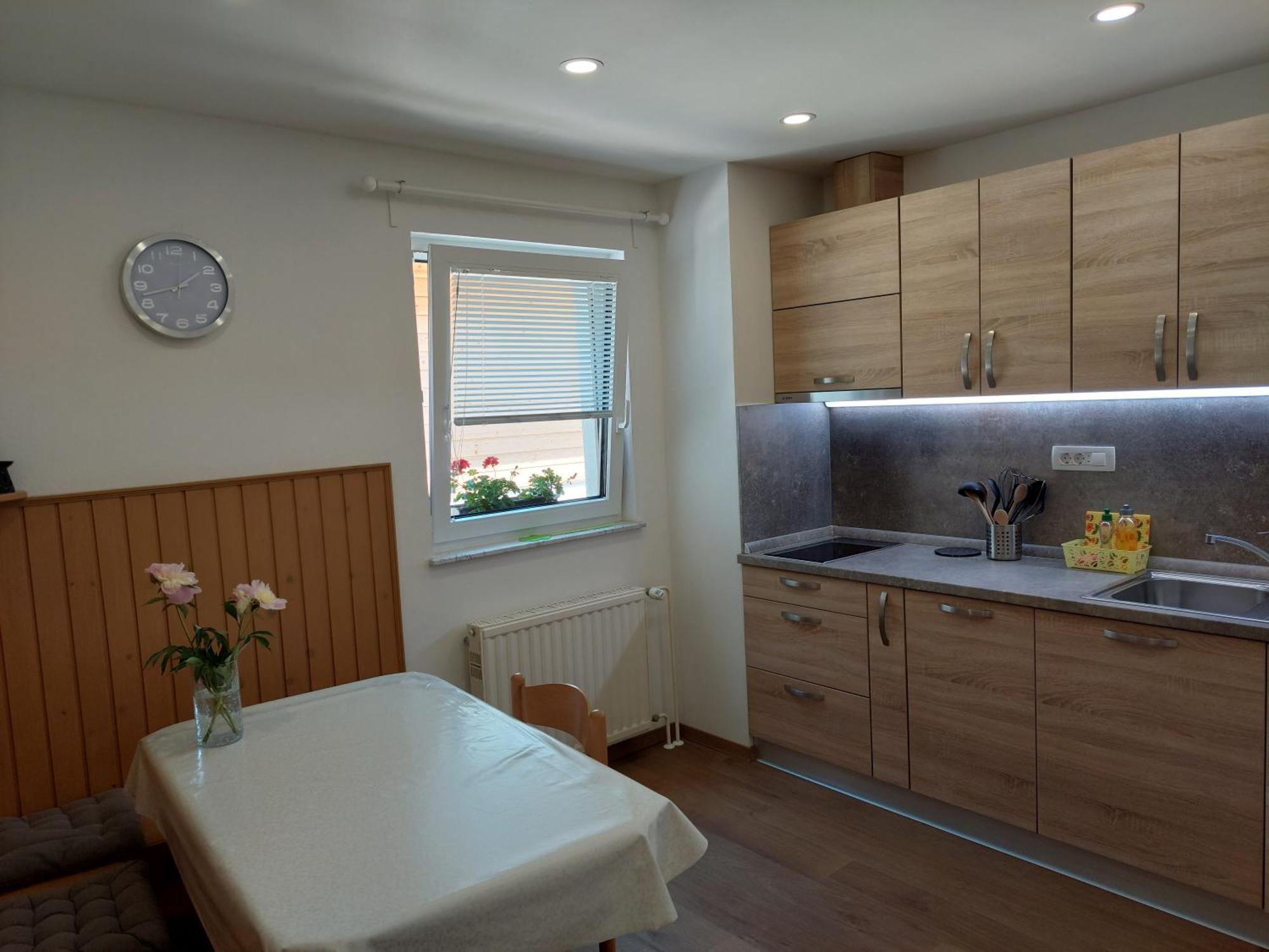 Apartments Susnik Бохинь Номер фото